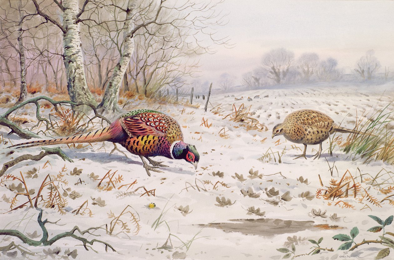 Pheasant and Partridge Eating by Carl Donner