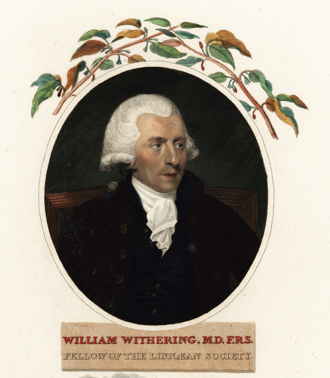 Portrait of William Withering, Physician and Botanist by Carl Frederik van (after) Breda