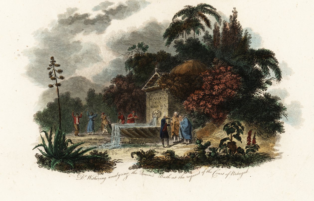 William Withering at Caldas da Rainha by Carl Frederik van (after) Breda