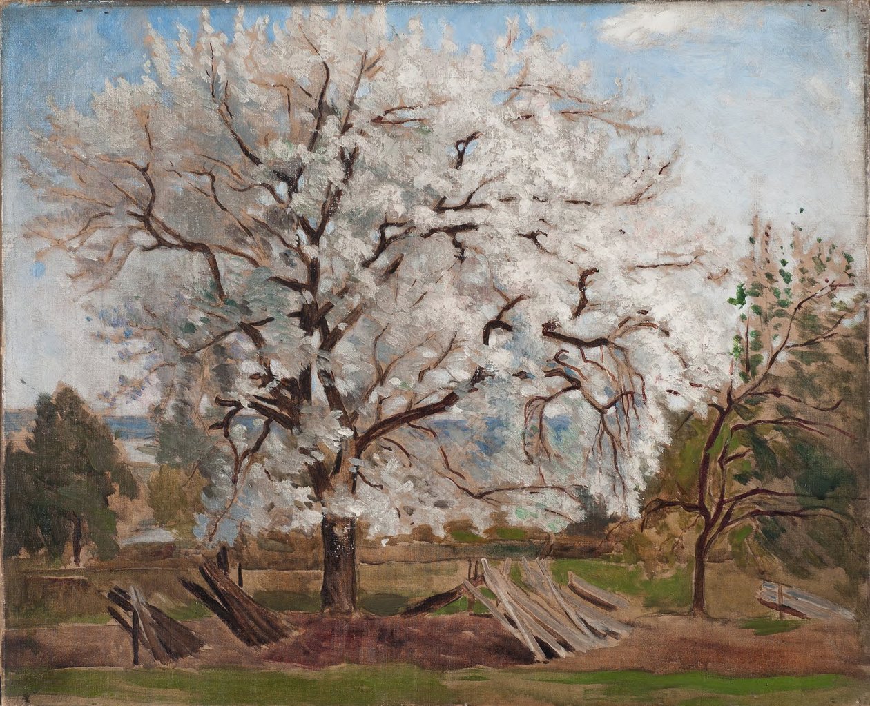 Apple Tree in Blossom by Carl Fredrik Hill