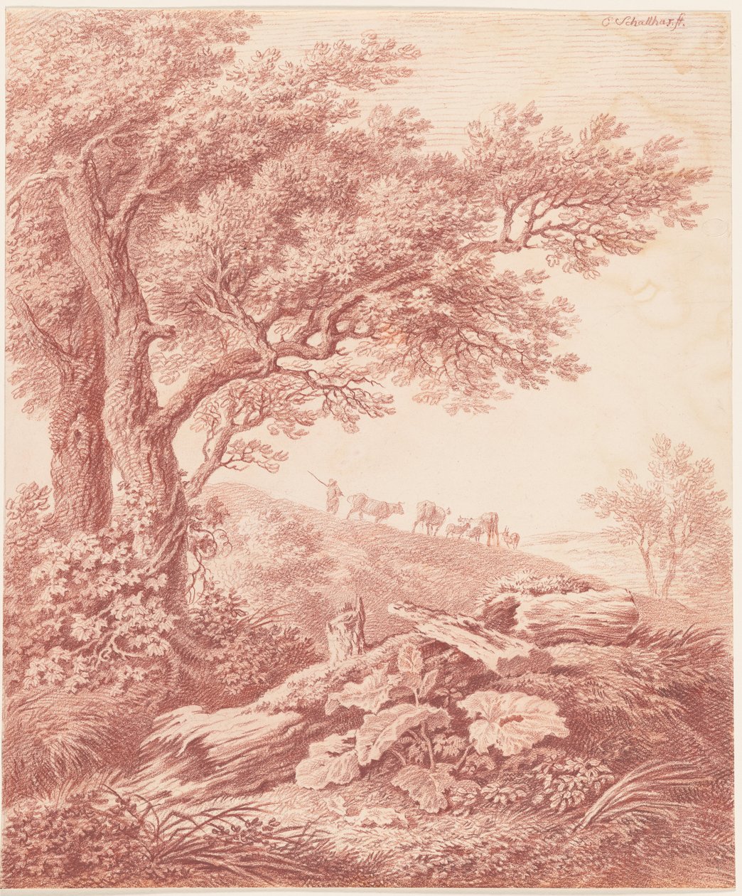 Ancient Trees in a Pastoral Landscape by Carl Philipp Schallhas