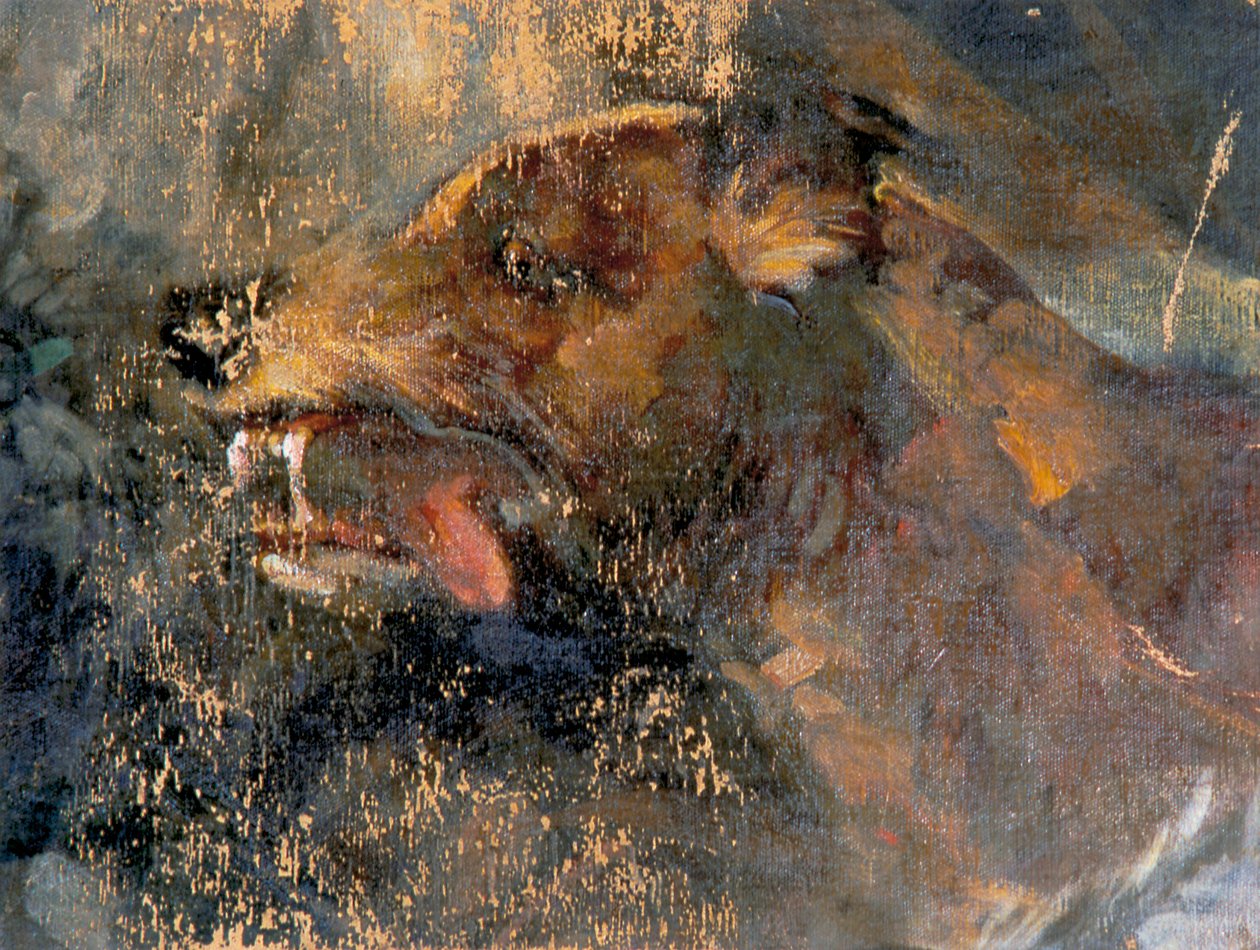 Dog Head by Carl Rudolf Huber
