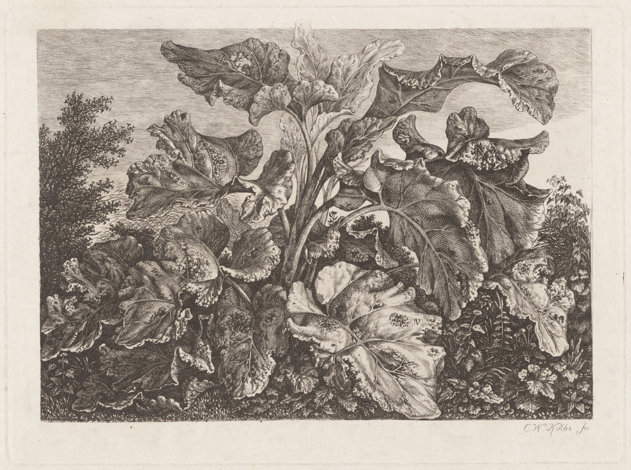Plant Study with Burdock by Carl Wilhelm Kolbe