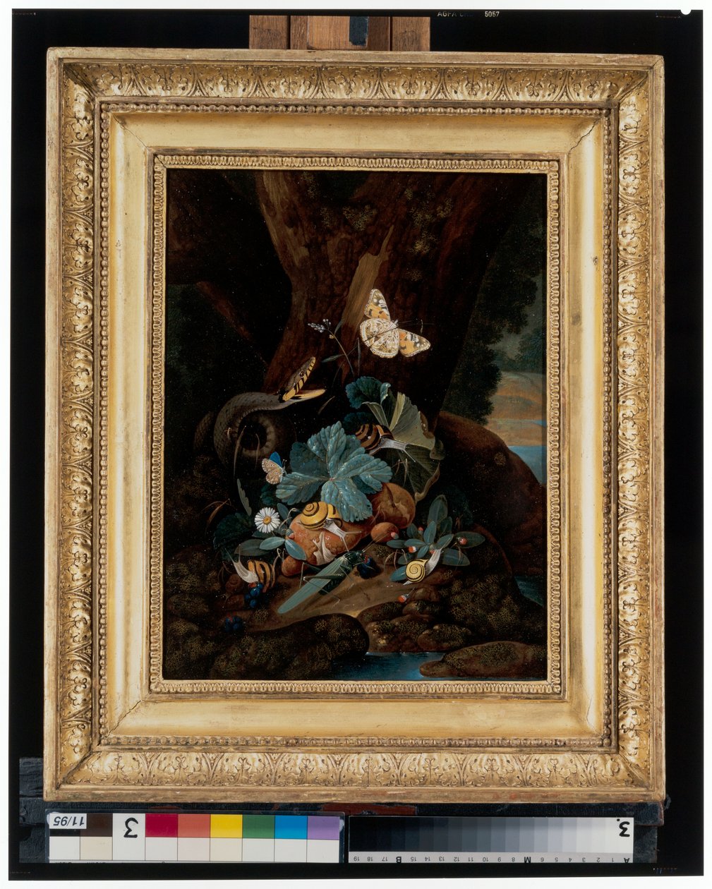 Forest Floor Still Lifes with Snails, Snakes, Lizards and Butterflies by Carl Wilhelm de Hamilton