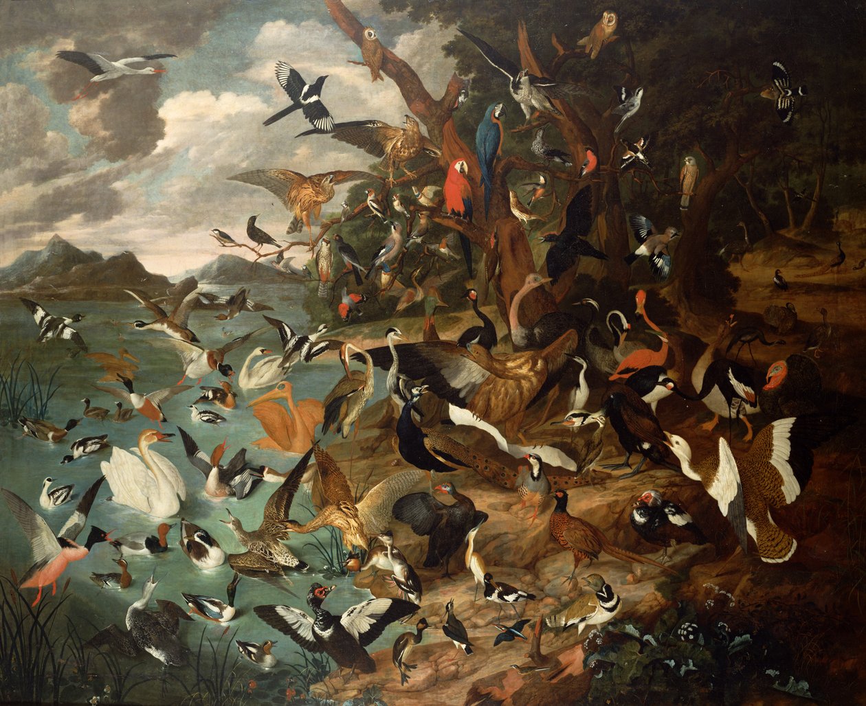 The Parliament of Birds by Carl Wilhelm de Hamilton
