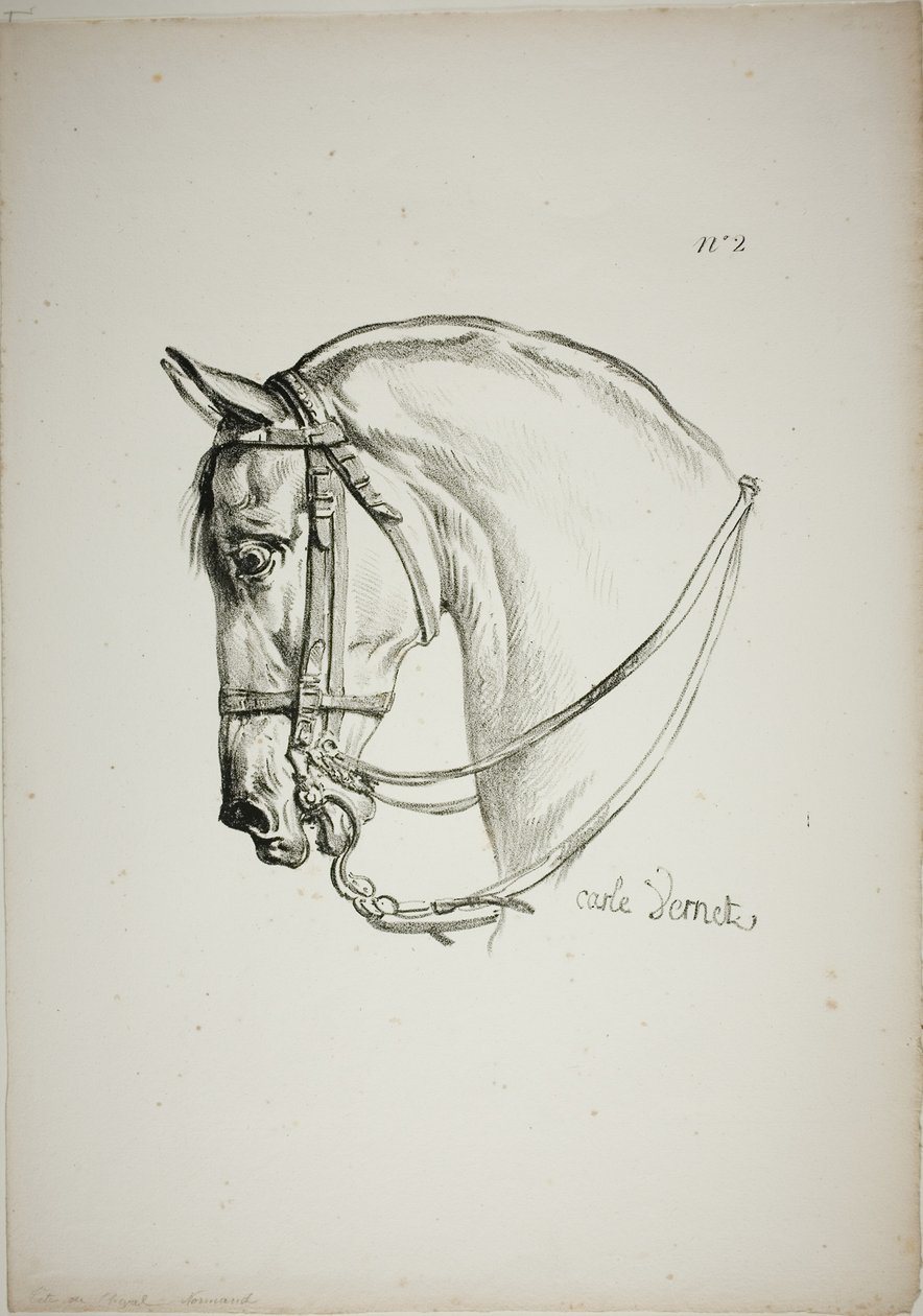 Detail of Horse