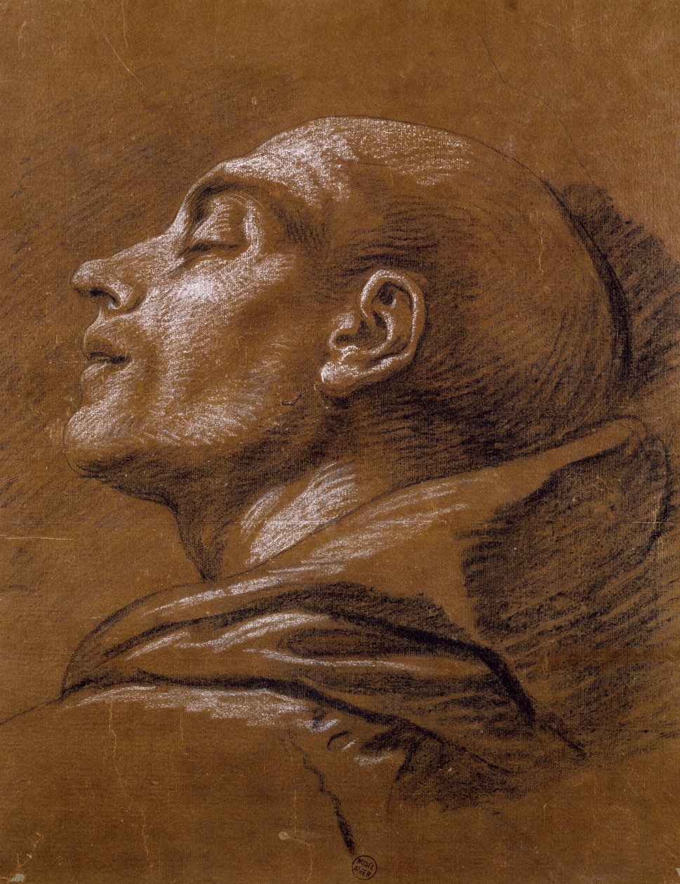 Study by Carle van Loo