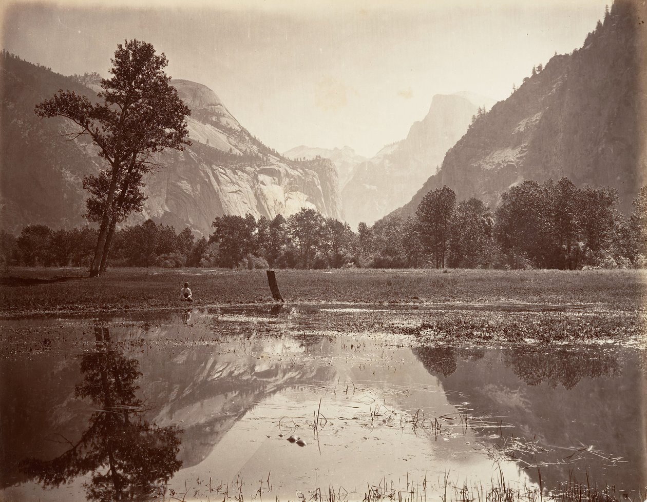 The Domes, Yosemite by Carleton E. Watkins.