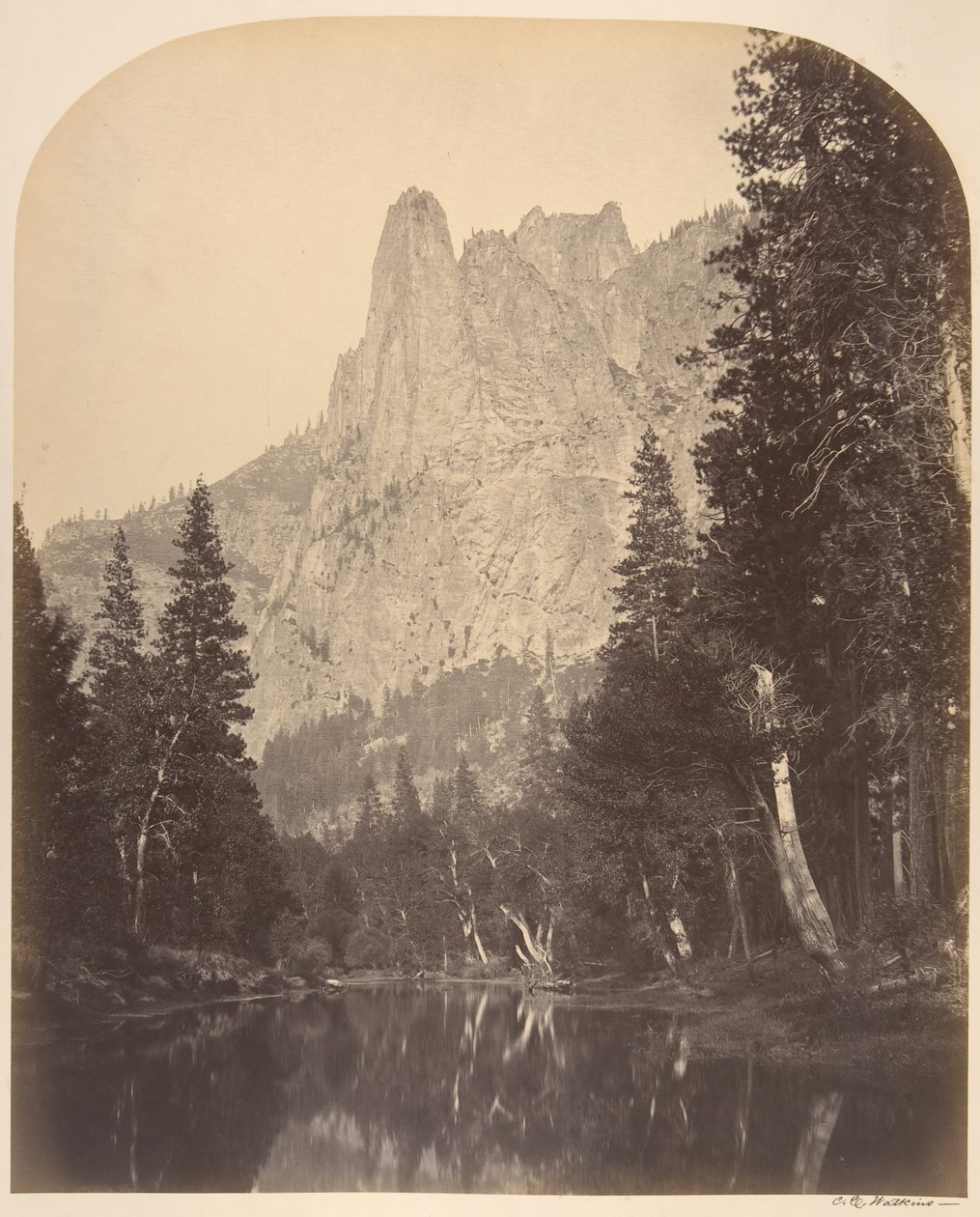 River View, Sentinel, 3270 Feet, 1861 by Carleton Emmons Watkins