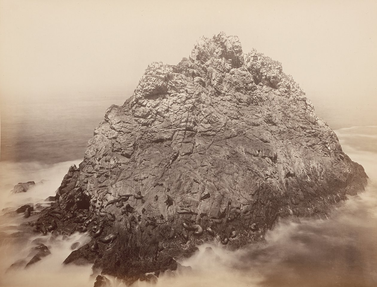Sugar Loaf Islands, Farallons, 1868-69 by Carleton Emmons Watkins