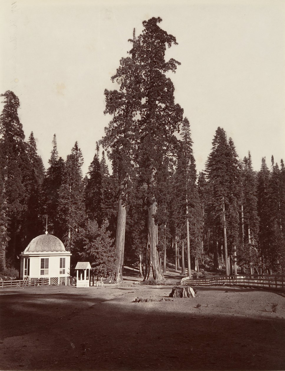 The Sentinel, 315 feet, 1865-66, printed ca. 1876 by Carleton Emmons Watkins