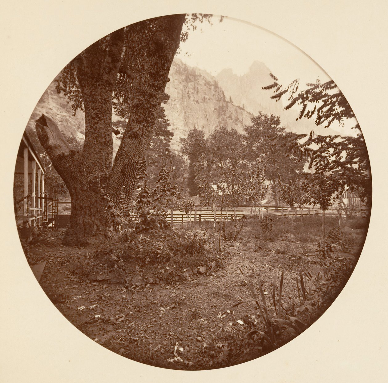 Yosemite National Park, California by Carleton Emmons Watkins