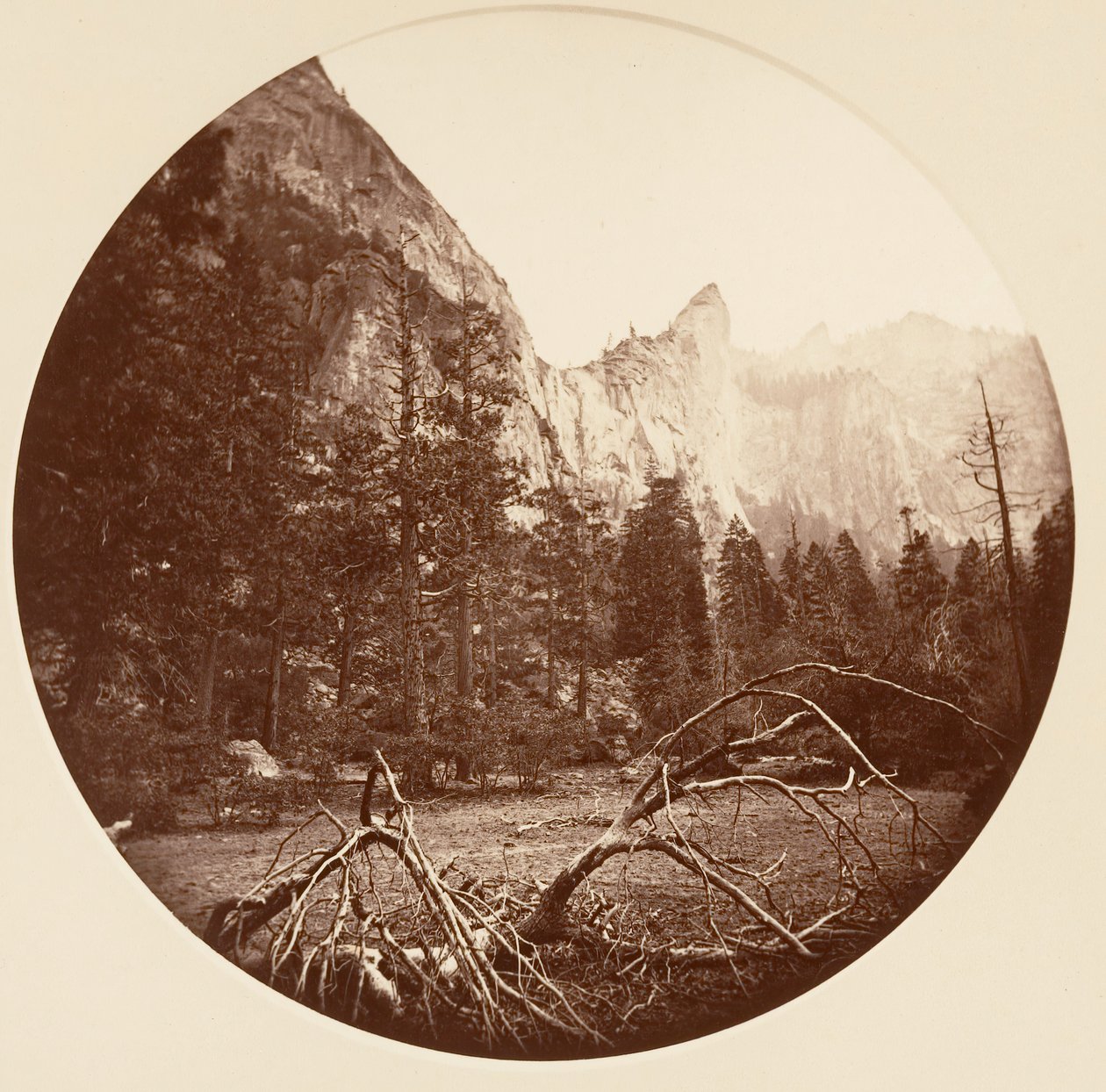 Yosemite National Park, California, ca. 1878 by Carleton Emmons Watkins
