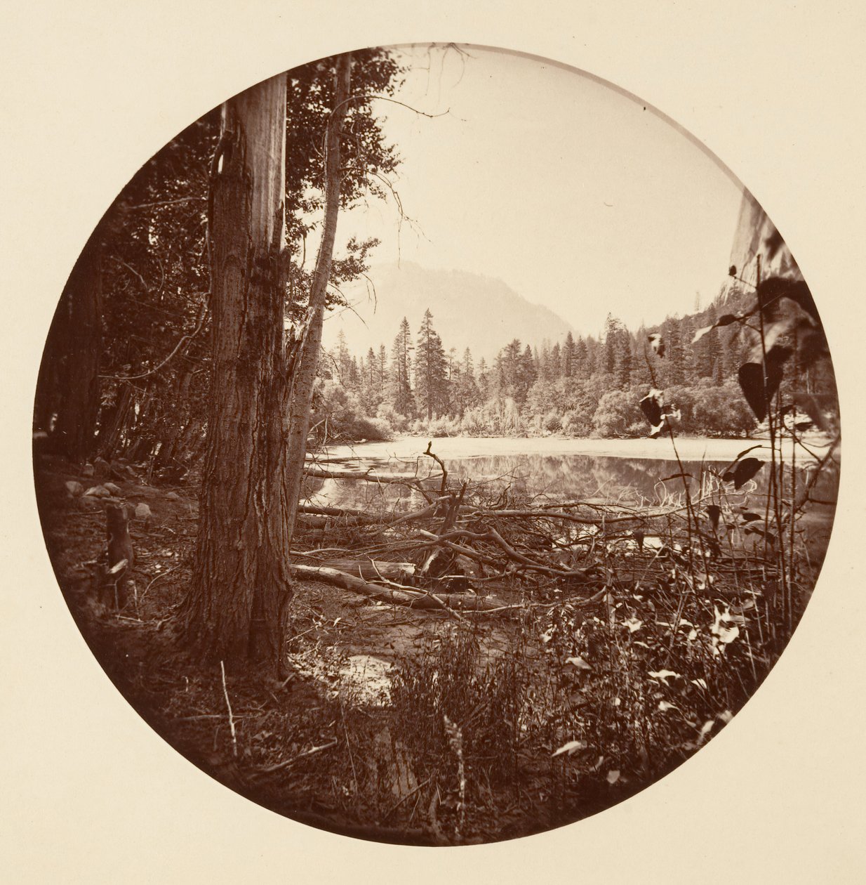 Yosemite National Park, California by Carleton Emmons Watkins