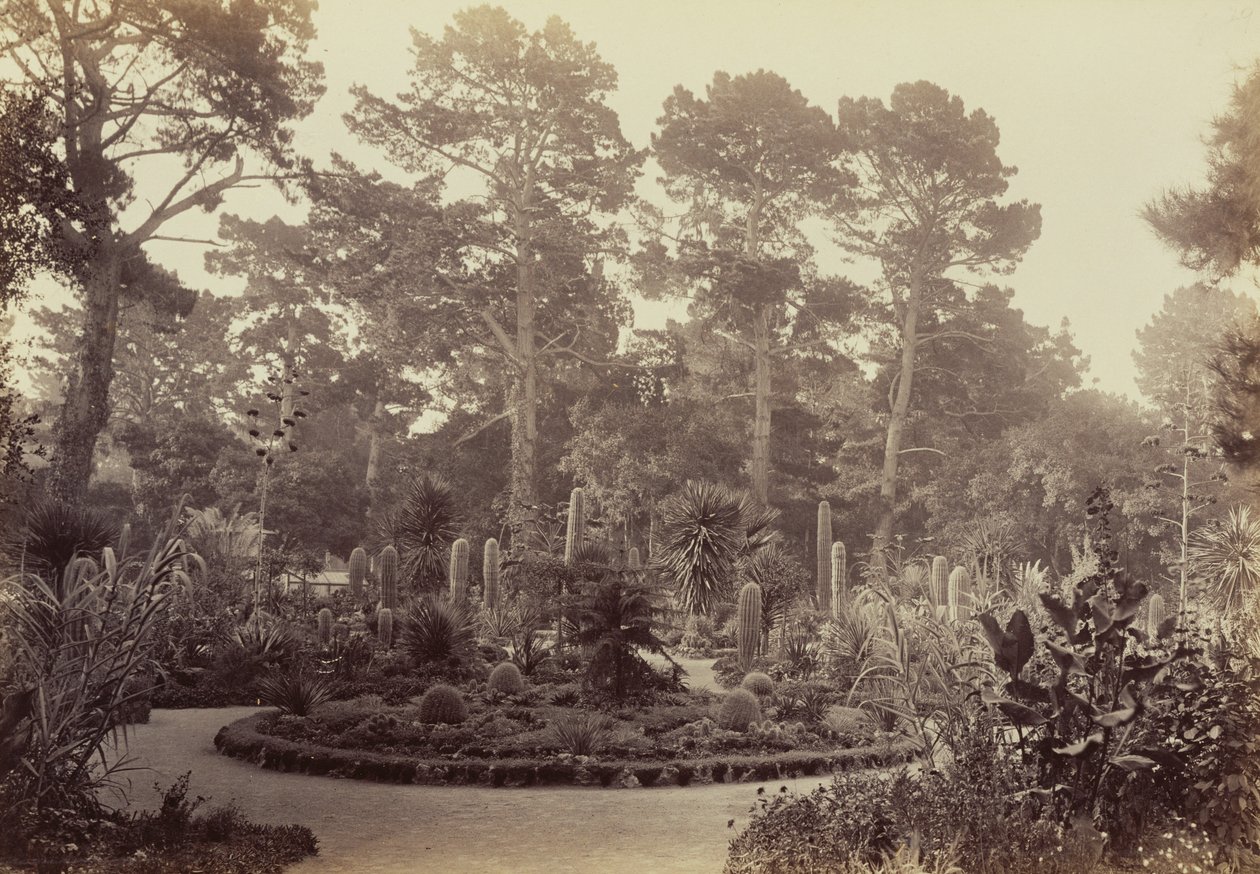 Arizona Garden, Hotel del Monte, Monterey by Carleton Watkins
