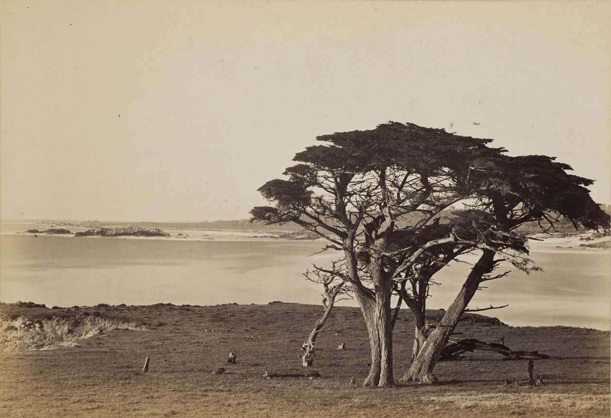 Coast View Near Monterey by Carleton Watkins