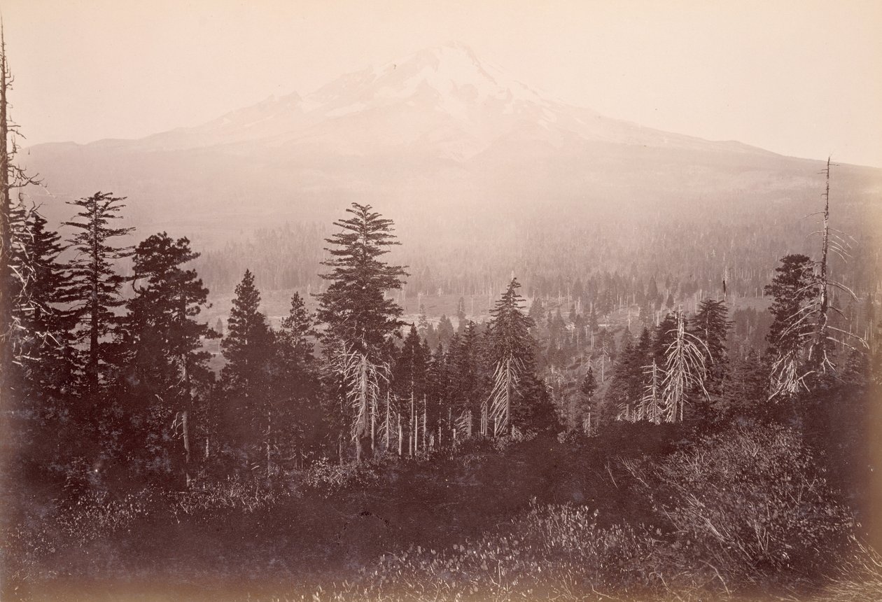 Mount Shasta by Carleton Watkins