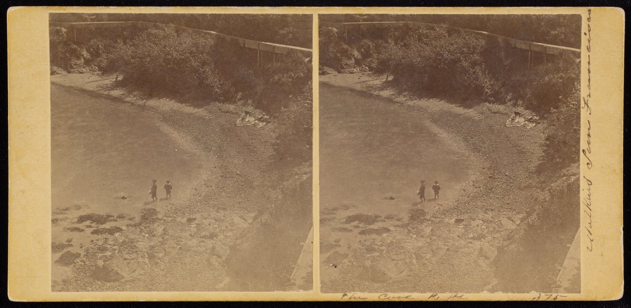 The Cove, S.F by Carleton Watkins