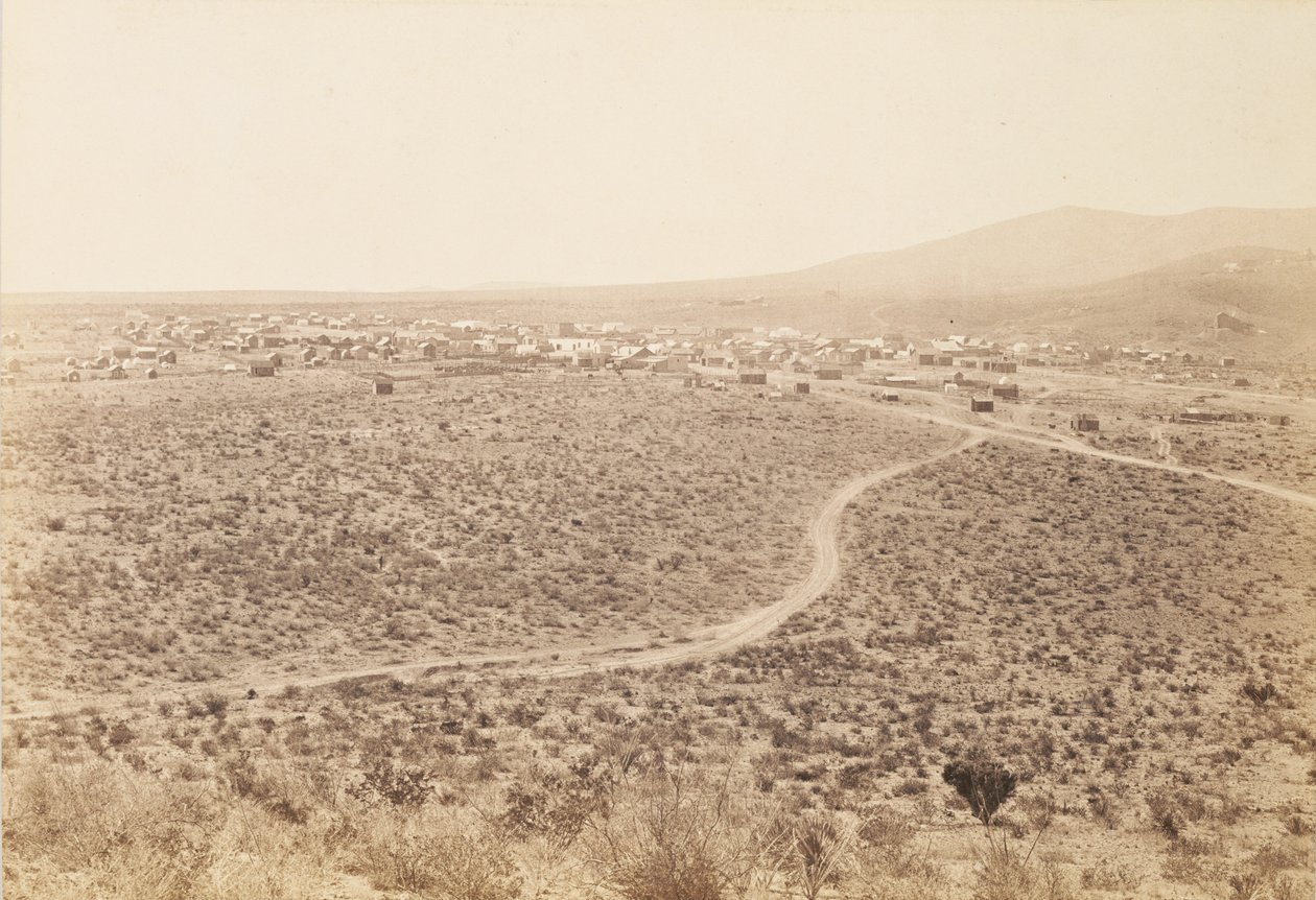 Tombstone, Arizona by Carleton Watkins
