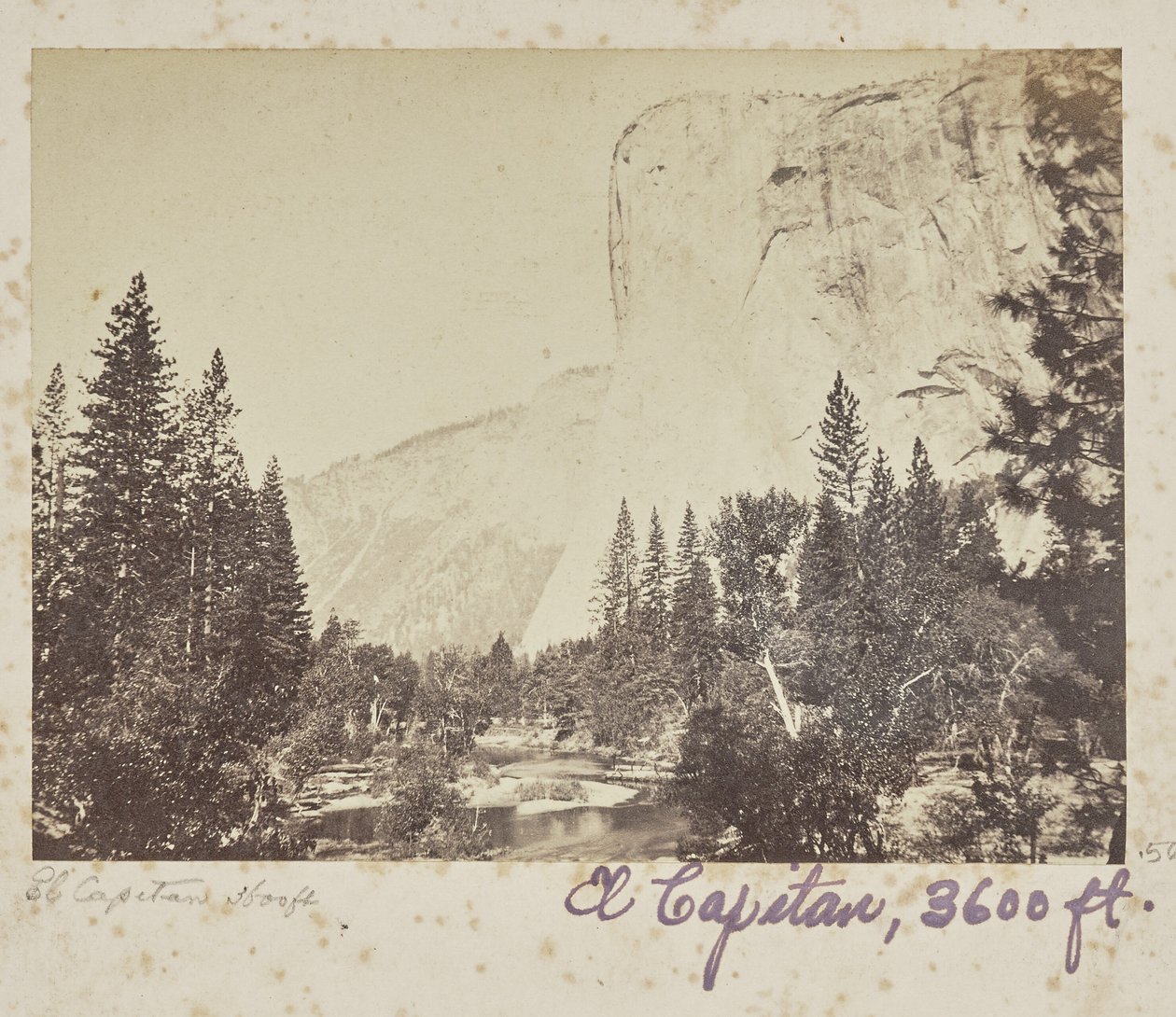 Tutocanula - El Capitan - 3600 feet, Yosemite Valley, Mariposa County, CAL. (No. 1010) by Carleton Watkins