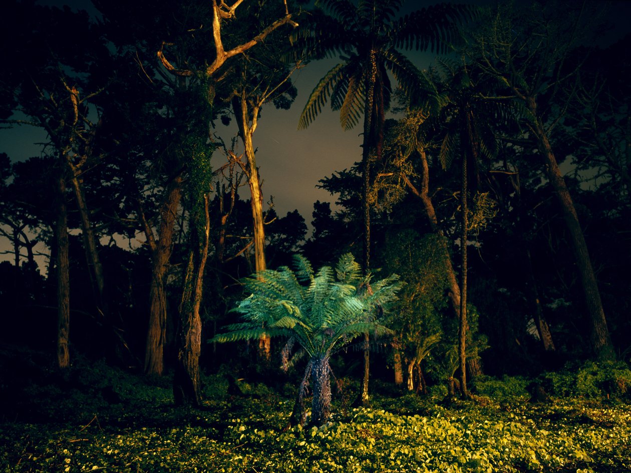 Painting in the Dark, 2014 by Carli Choi