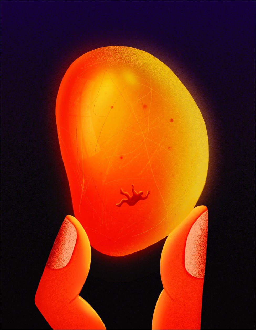 Amber by Carlo Alberto Giardina