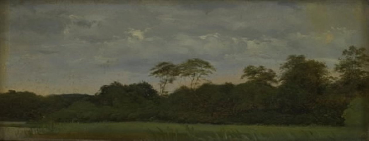 A Meadow by a Forest Lake by Carlo Dalgas
