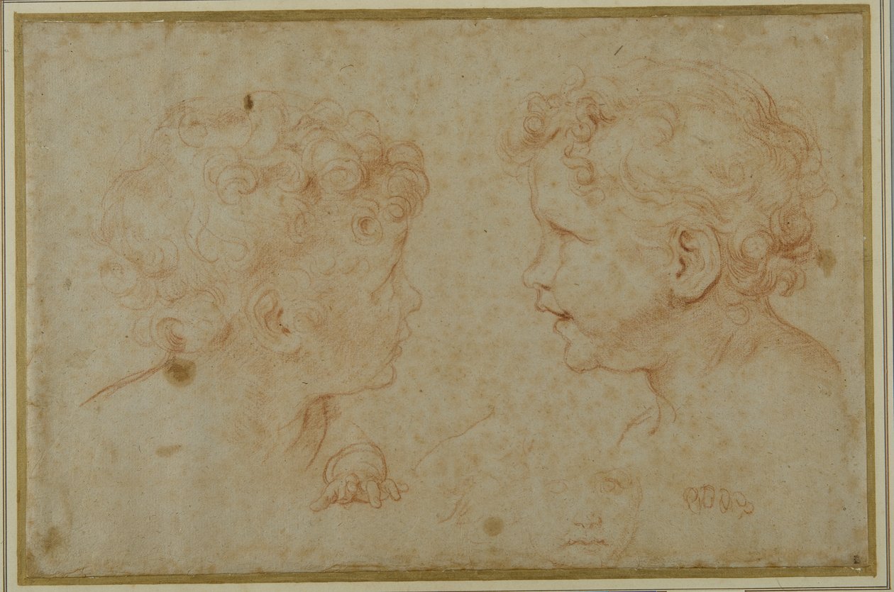 Studies of the head and left hand of a putto by Carlo Maratti