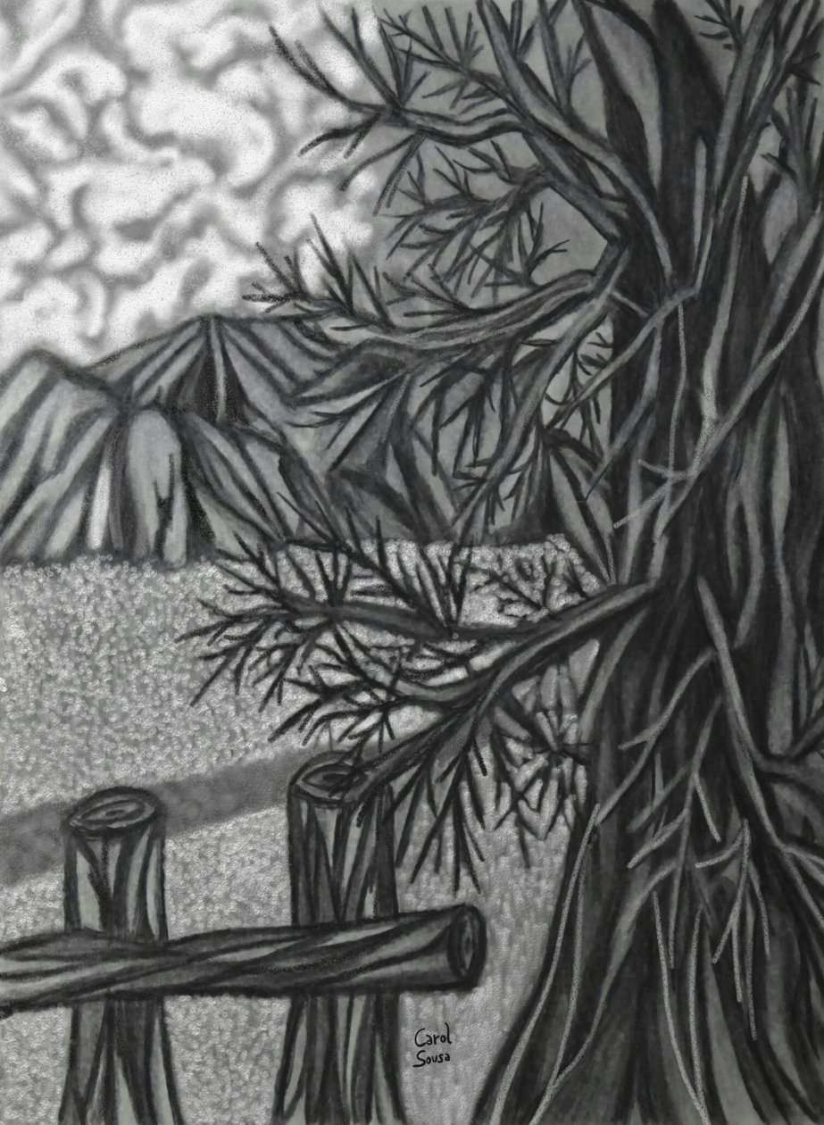 Digital Charcoal Drawing 2 by Carol Sousa Cuello