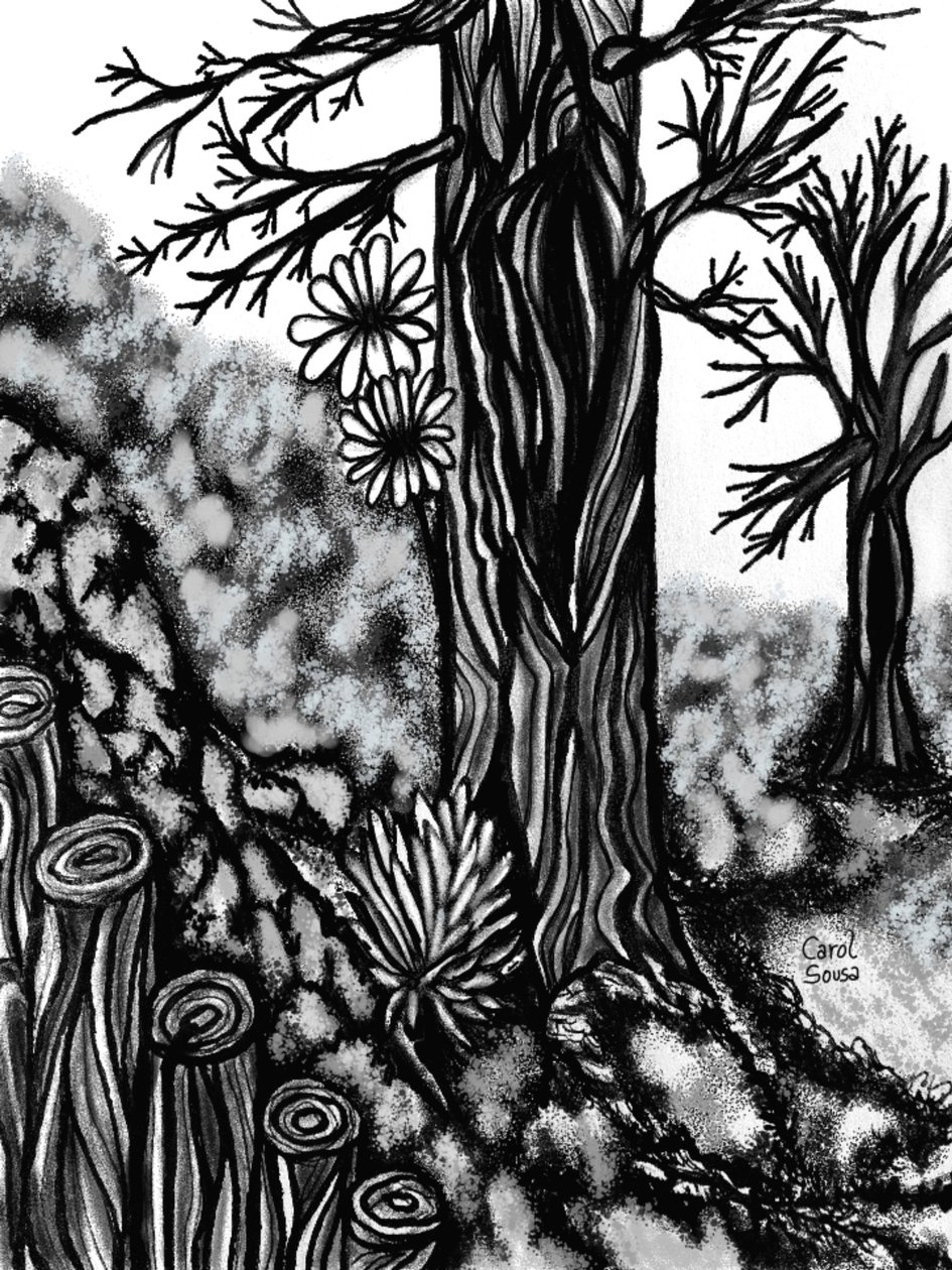 Digital Charcoal Drawing 1 by Carol Sousa Cuello