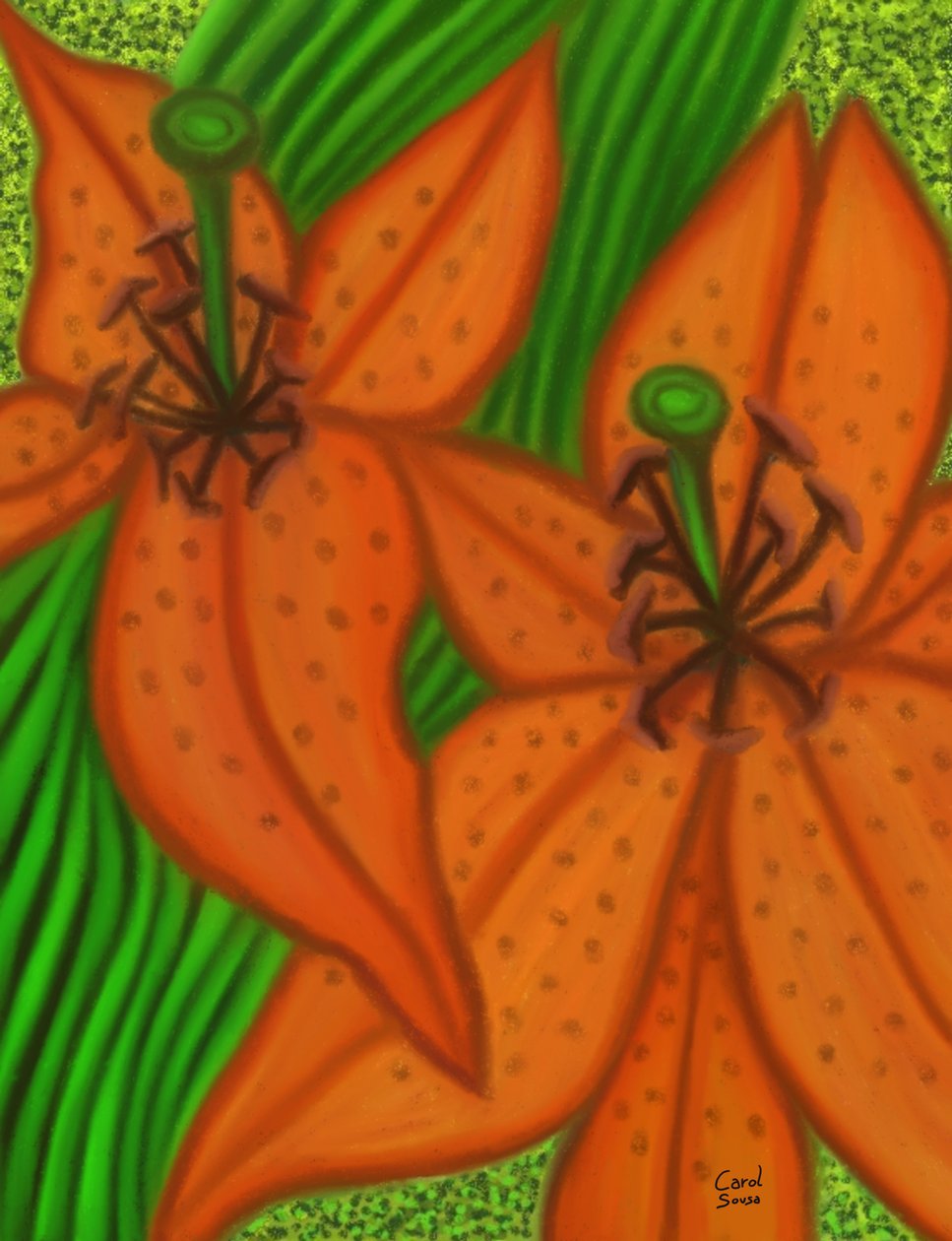 Two Lilies by Carol Sousa Cuello