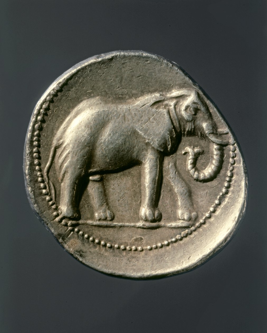 Hannibal Barca: Gold Coin Showing the Elephant of Hannibal by Carthaginian Carthaginian