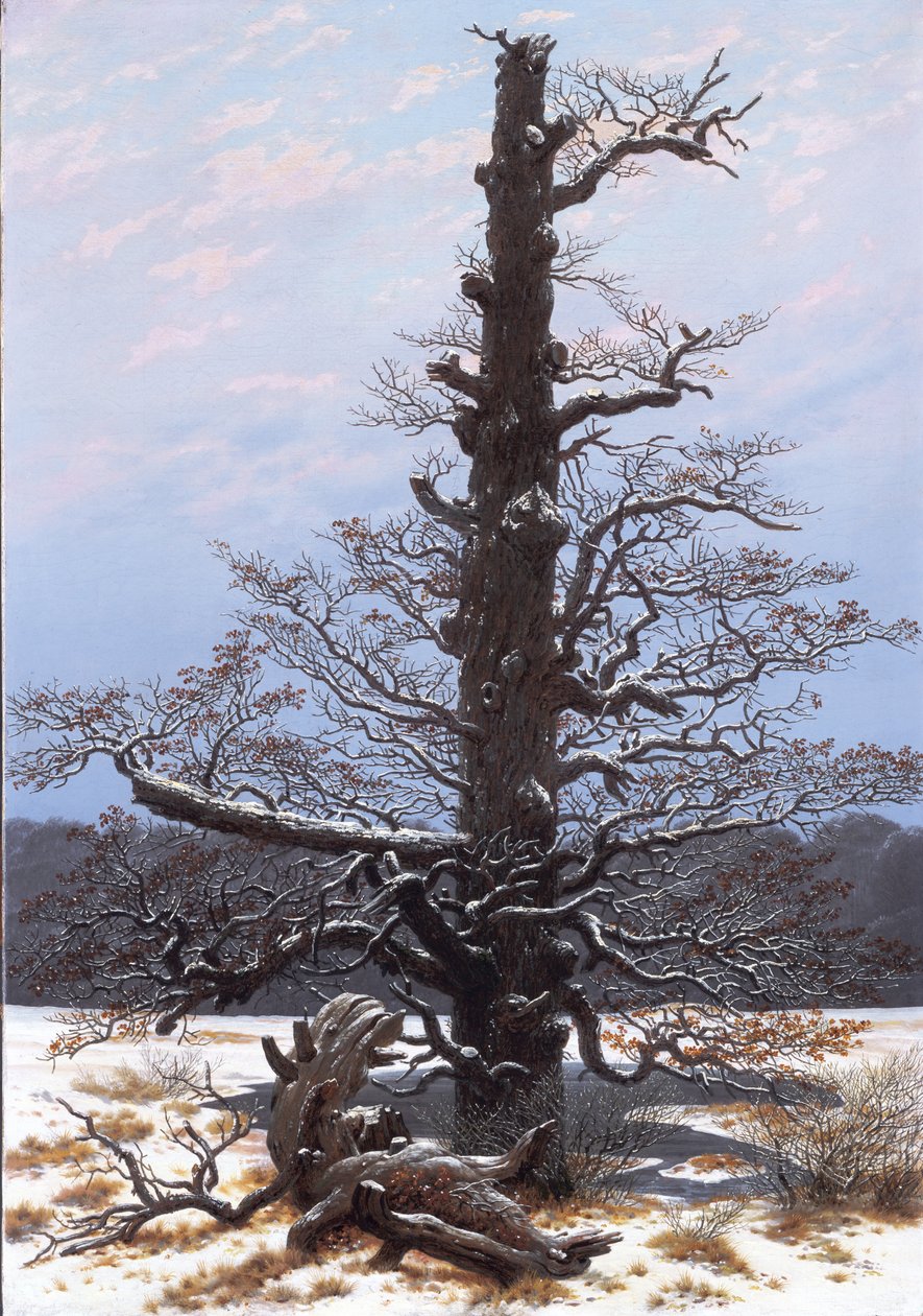 The Oaktree in the Snow by Caspar David Friedrich