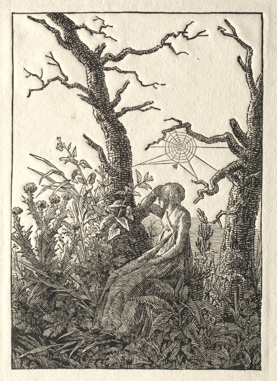 The Woman with the Spider Web between Bare Trees, 1803 by Caspar David Friedrich