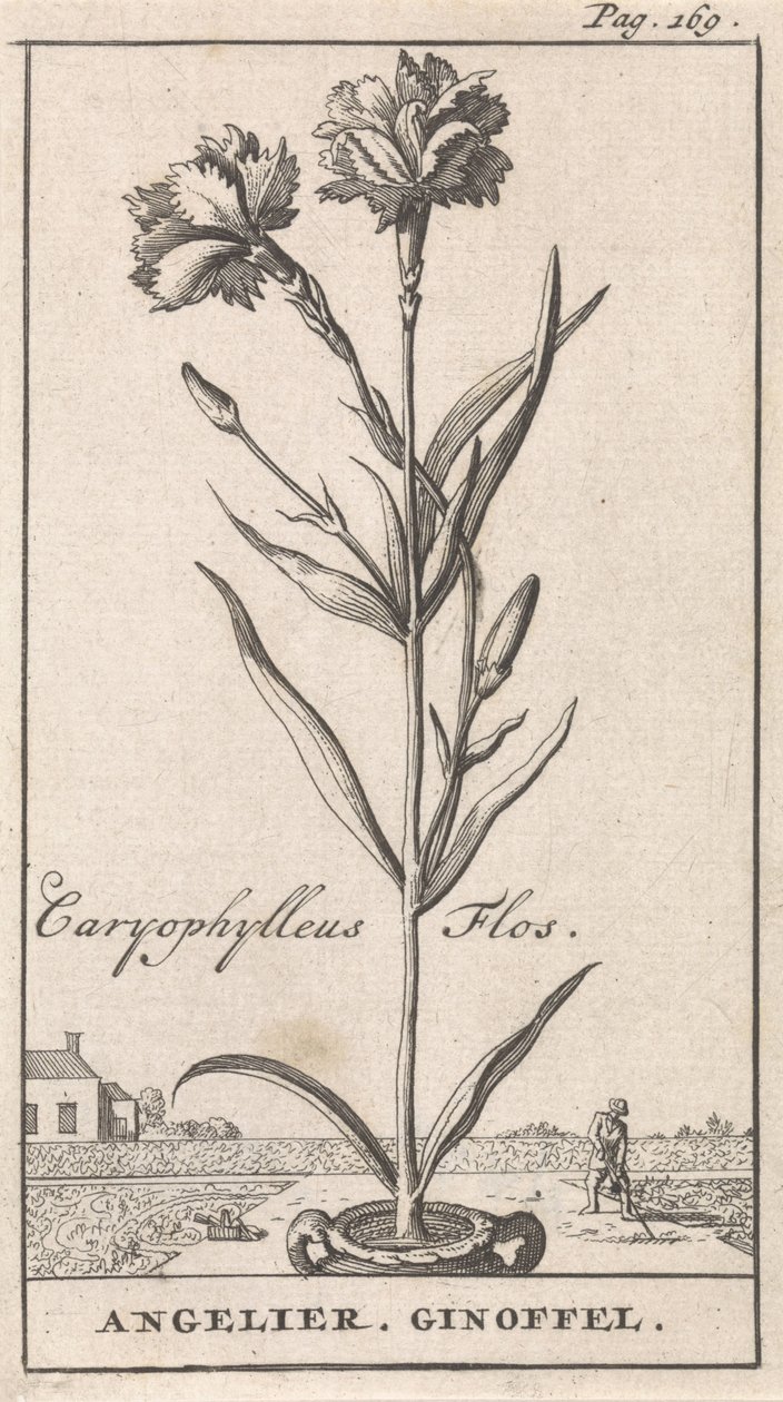 Title Page and Eight Prints with Flowers by Caspar Luyken