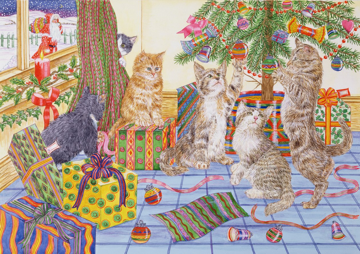 The Cats Christmas by Catherine Bradbury