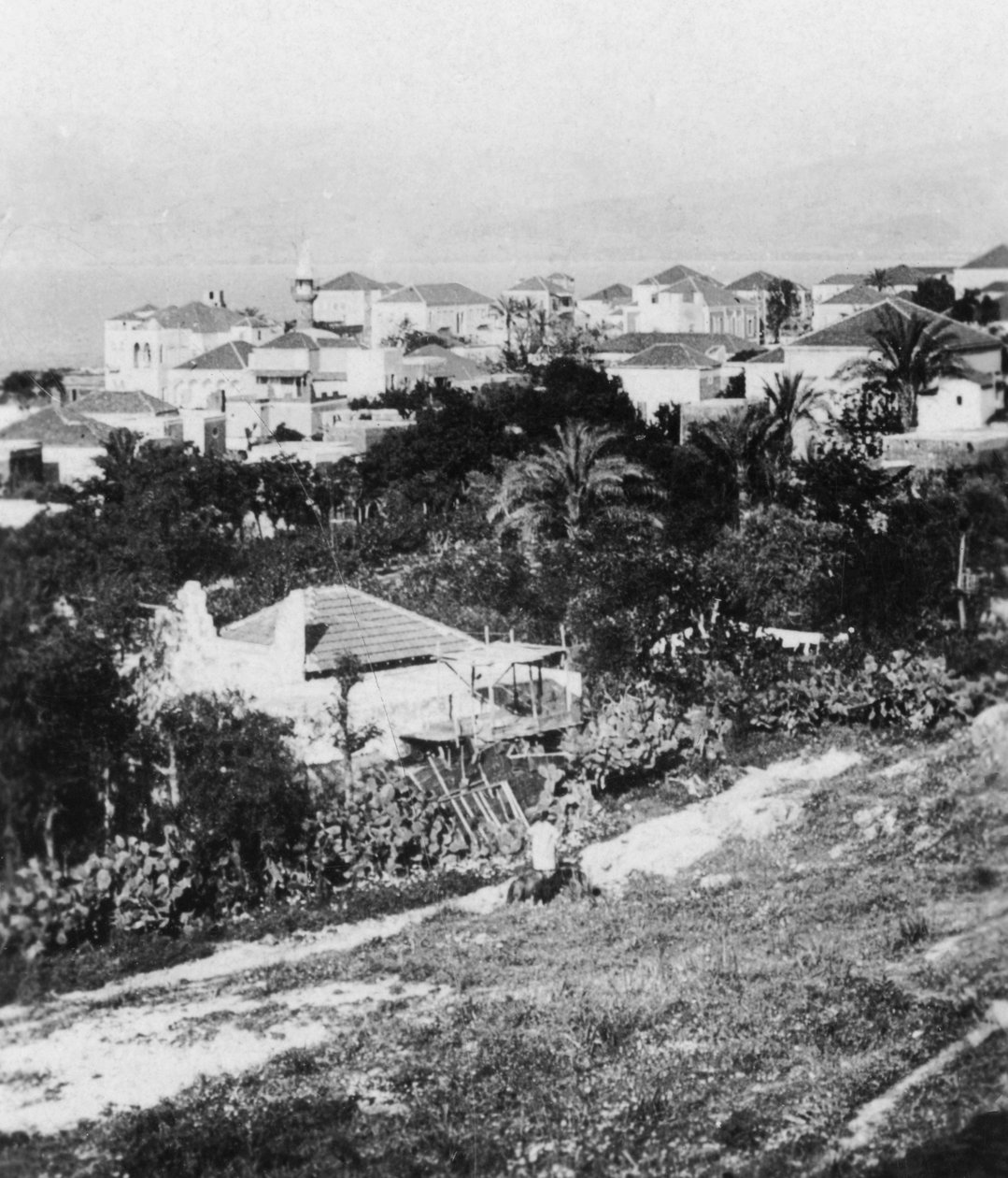 Beirut from the American College, Lebanon, c1927-c1931 by Cavanders Ltd