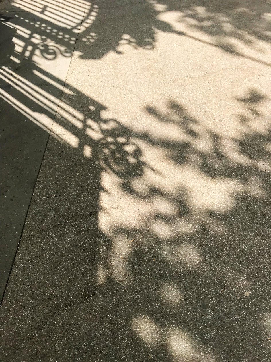 Composition - Shadows by Cécile Jamet
