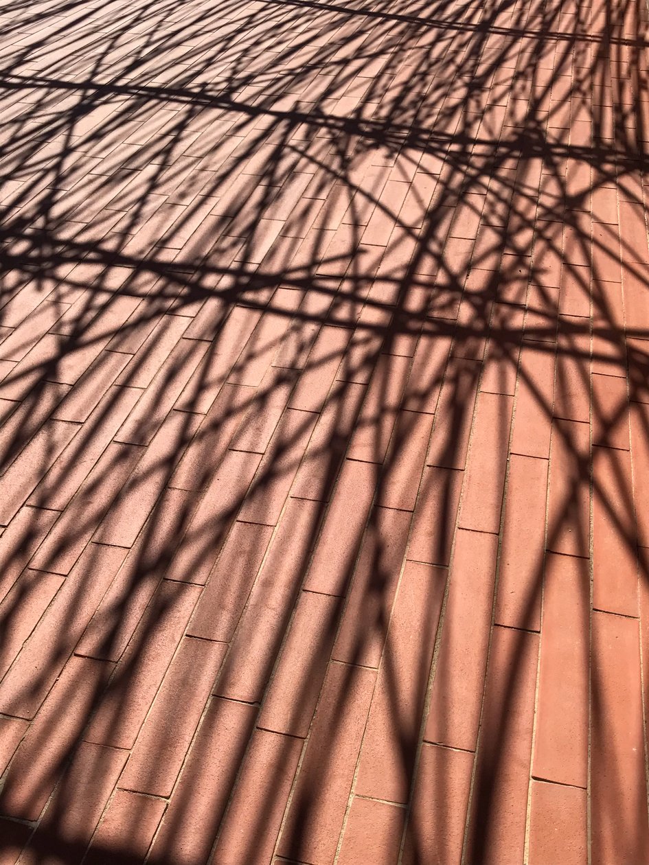 Composition - Shadows by Cécile Jamet