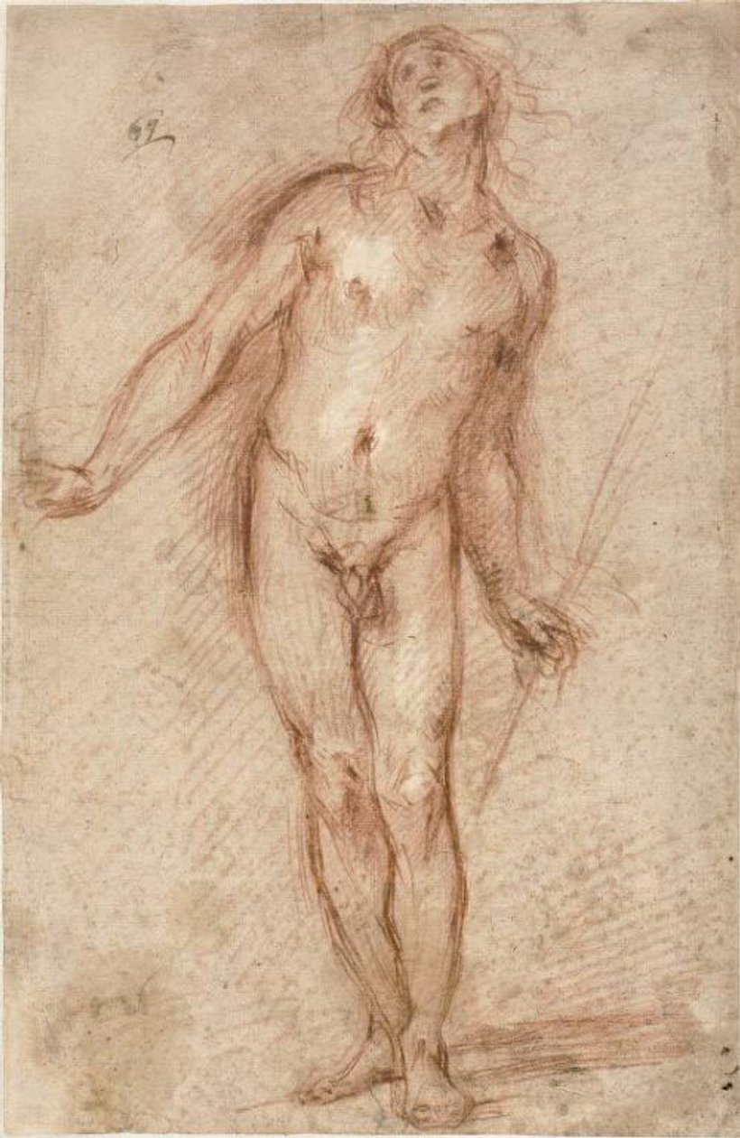 Standing Male Nude by Cecco Bravo