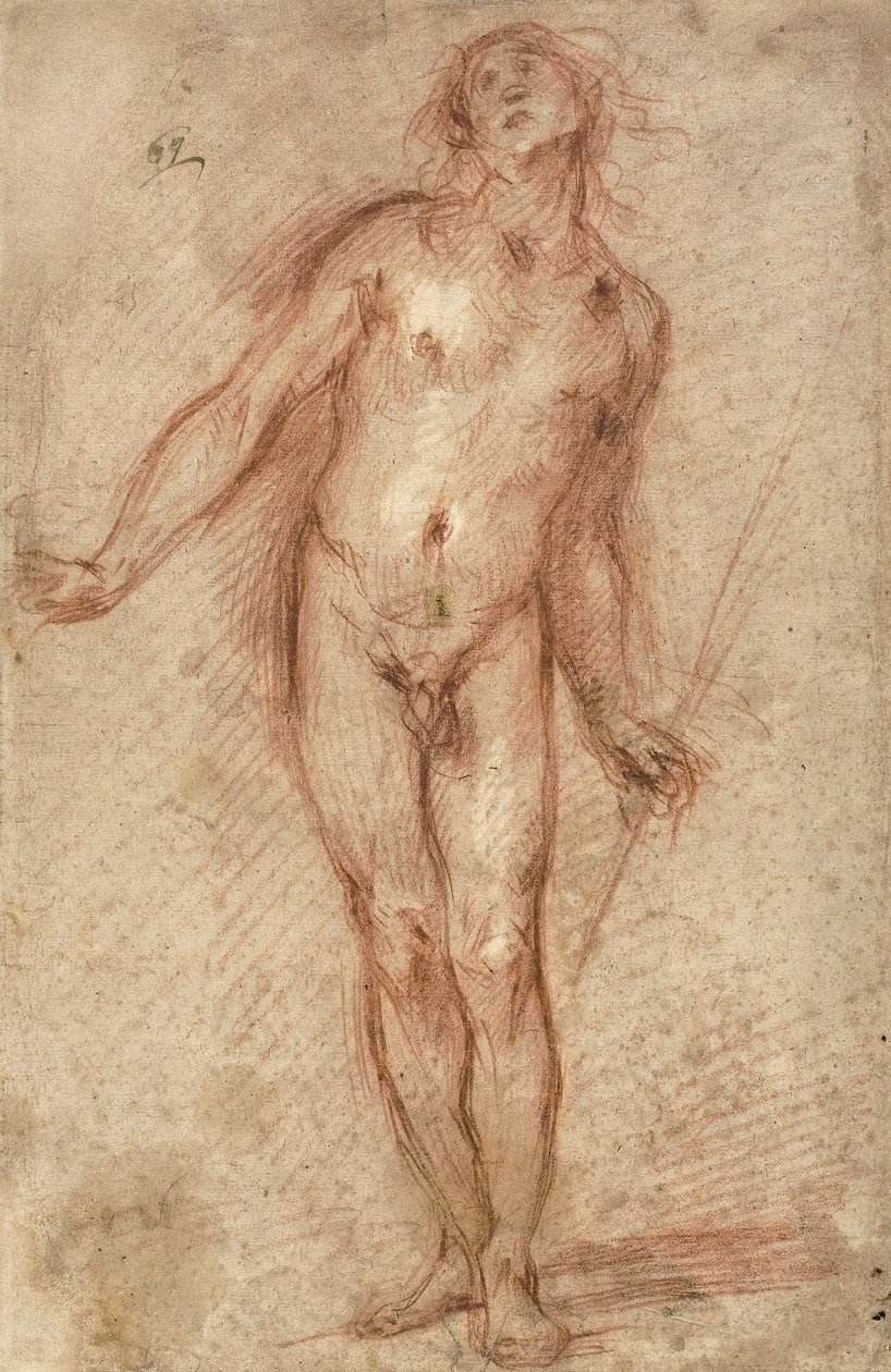 Standing Male Nude by Cecco Bravo