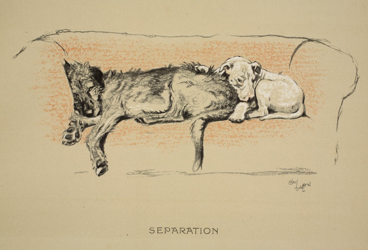 Separation, 1930, 1st Edition of 