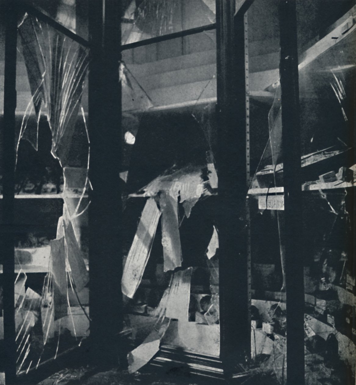 Show Cases in the Natural History Museum by Cecil Beaton