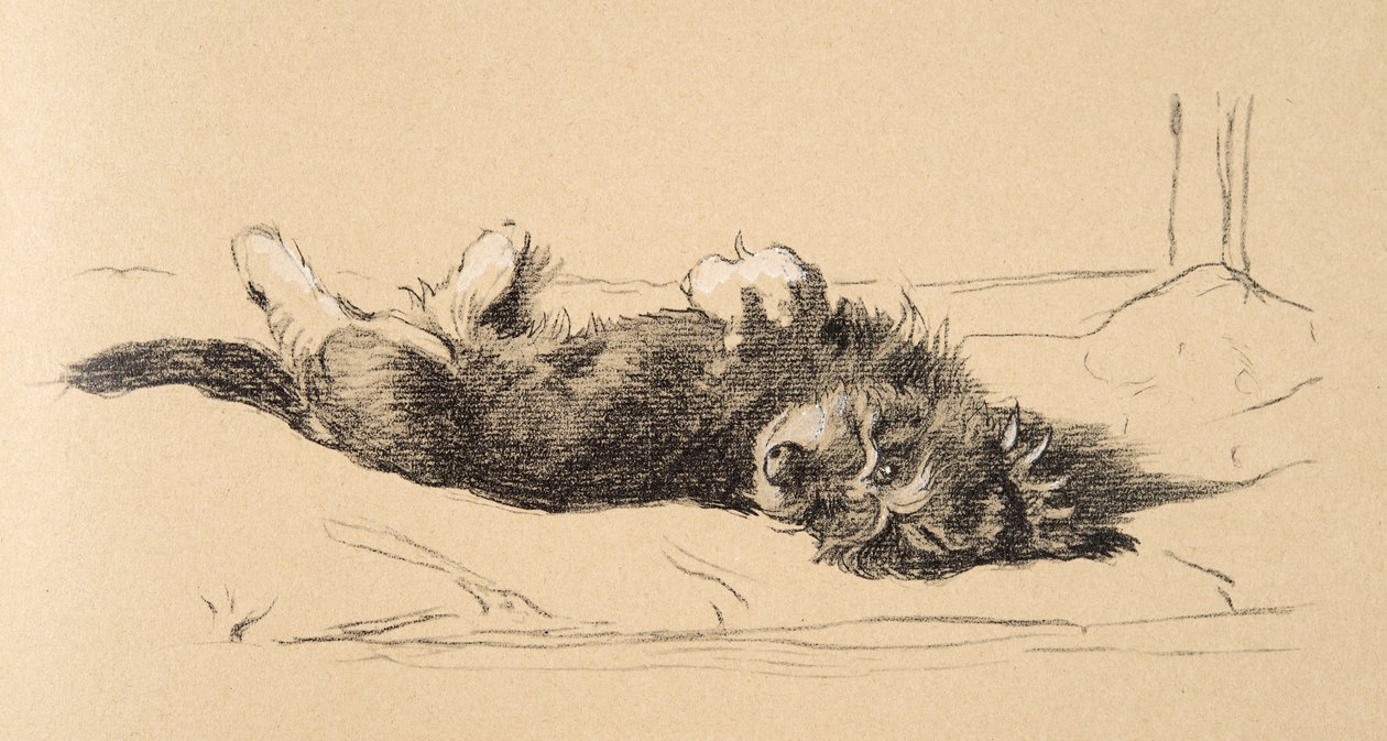 Rough Daschund Puppy (detail), 1930, Illustrations from his Sketch Book used for Just Among Friends by Cecil Charles Windsor Aldin