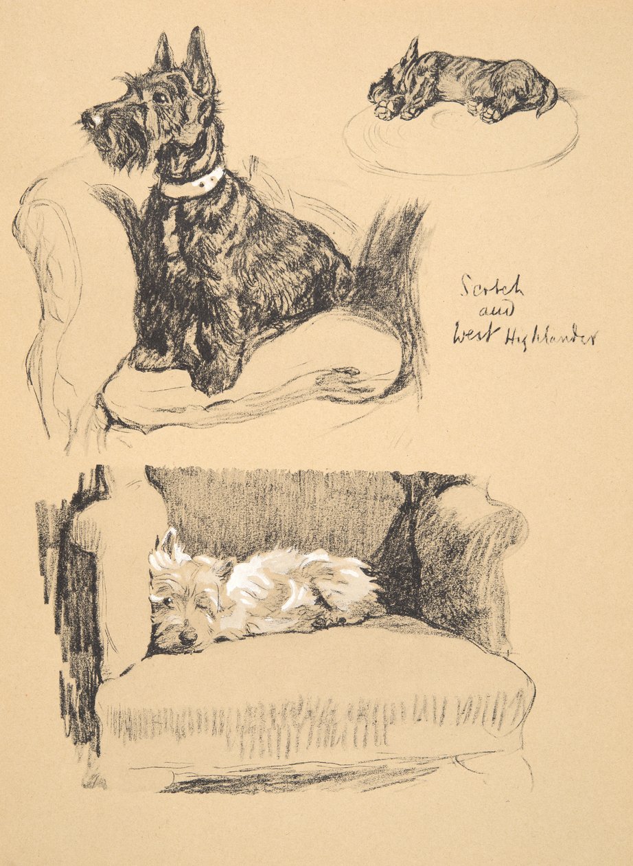 Scotch and West Highlander, 1930, Illustrations from his Sketch Book used for Just Among Friends, Aldin, Cecil Charles Windsor, later Published by Eyre and Spottiswoode Limited, 1934 by Cecil Charles Windsor Aldin