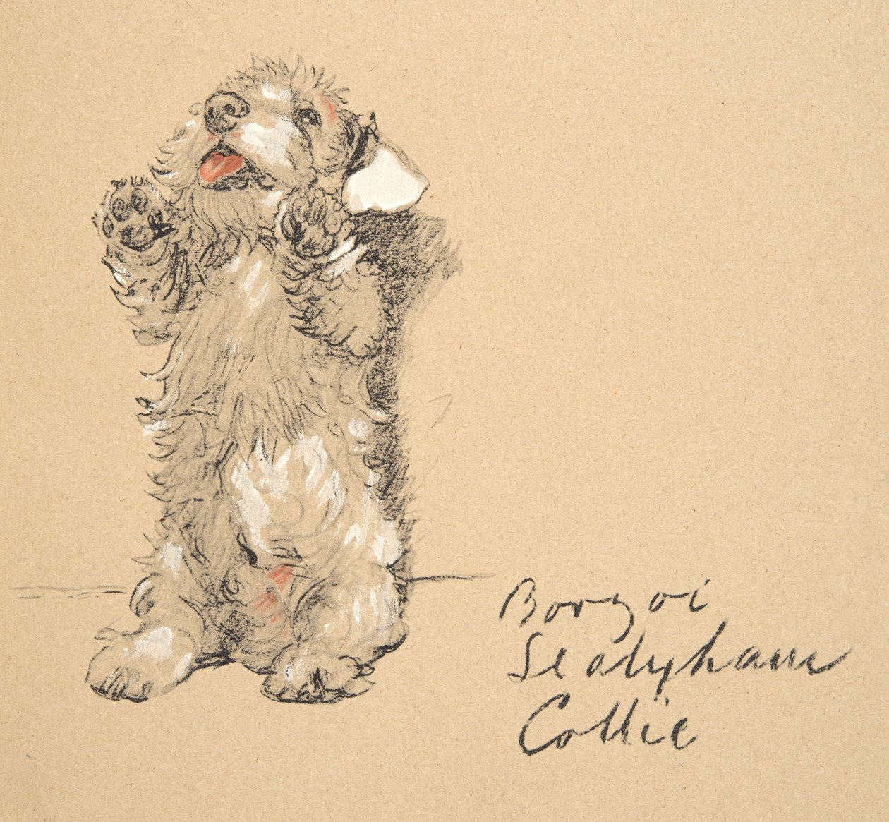 Sealyham, 1930, Illustrations from His Sketch Book Used for Just Among Friends, Later Published by Eyre and Spottiswoode Limited, 1934 by Cecil Charles Windsor Aldin