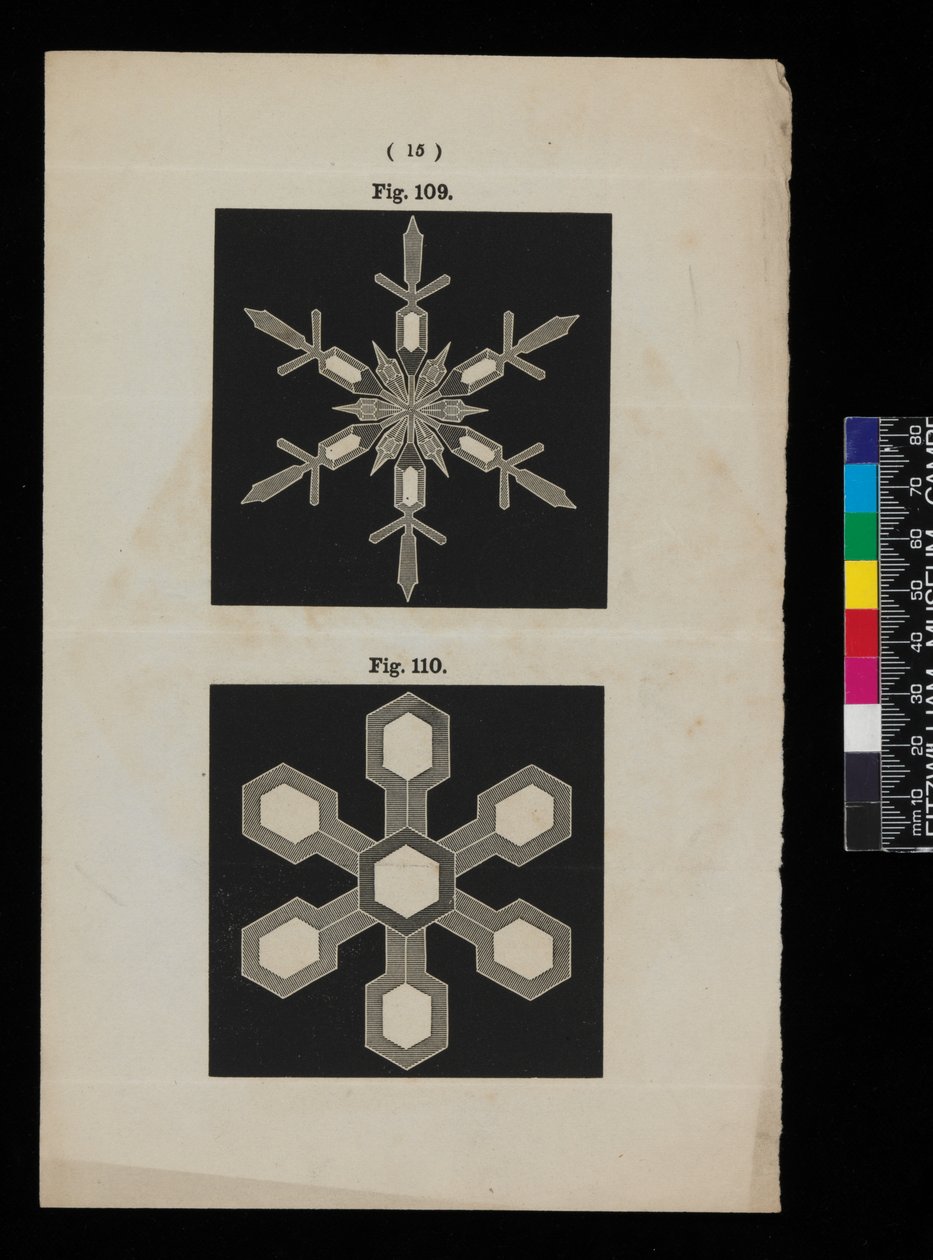 Snow Crystals by Cecilia Glaisher