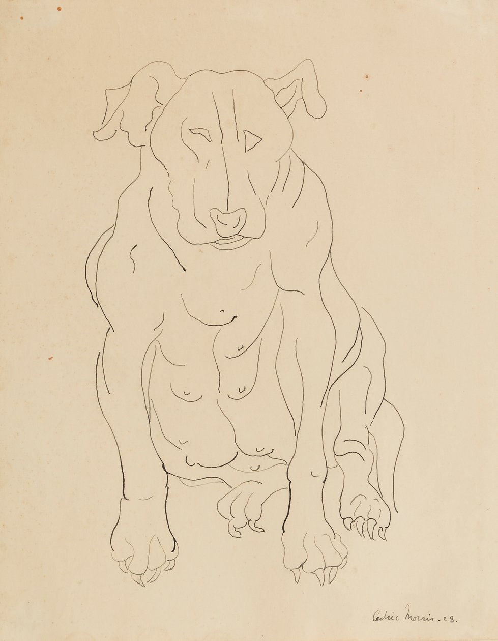 Nancy Morris’s bull dog by Cedric Morris