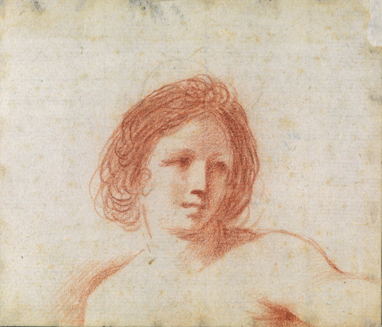 Head of a Woman by Cesare Gennari