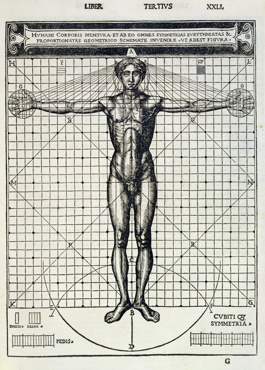 Ideal proportions based on the human body, from 